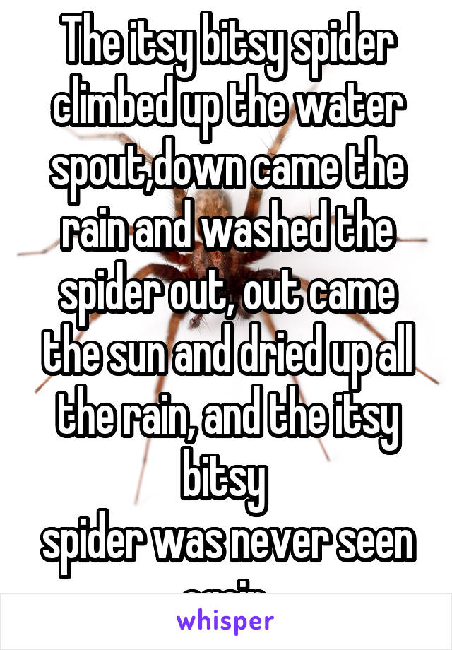 The itsy bitsy spider climbed up the water spout,down came the rain and washed the spider out, out came the sun and dried up all the rain, and the itsy bitsy 
spider was never seen again 