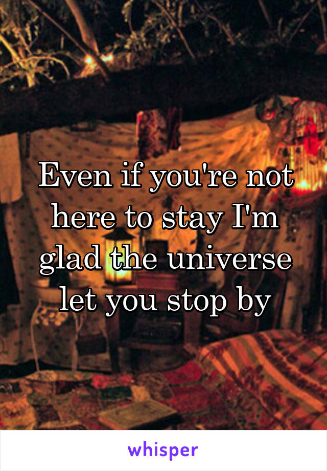 Even if you're not here to stay I'm glad the universe let you stop by