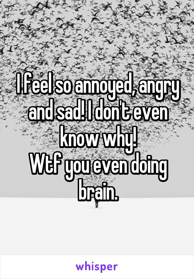 I feel so annoyed, angry and sad! I don't even know why!
Wtf you even doing brain.