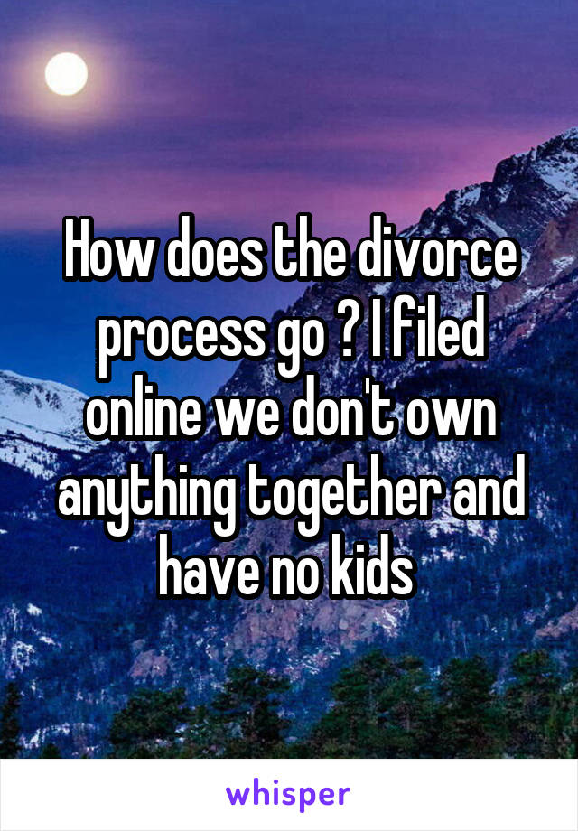 How does the divorce process go ? I filed online we don't own anything together and have no kids 