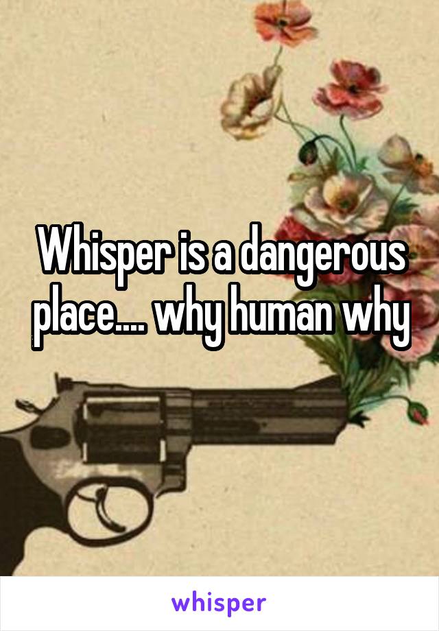 Whisper is a dangerous place.... why human why 