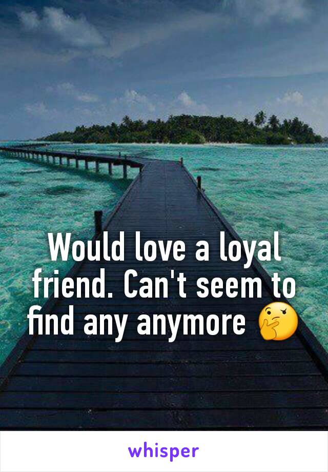 Would love a loyal friend. Can't seem to find any anymore 🤔