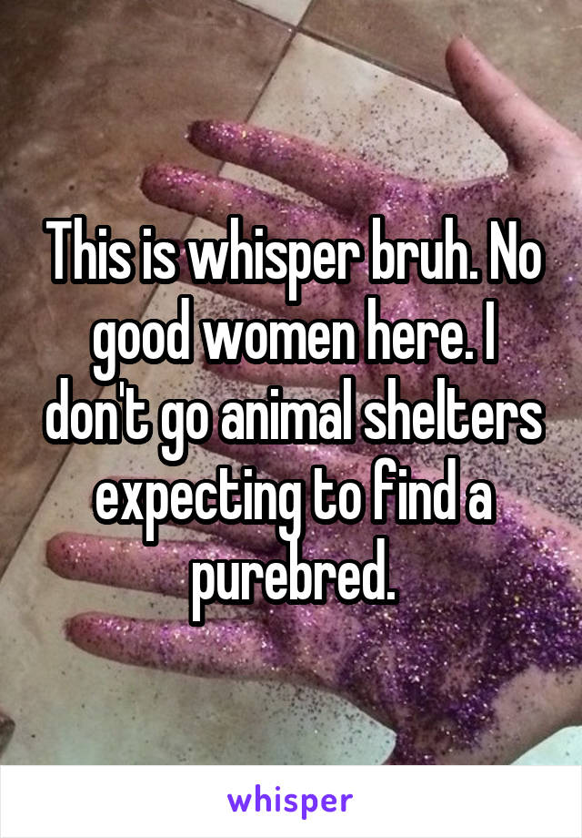 This is whisper bruh. No good women here. I don't go animal shelters expecting to find a purebred.