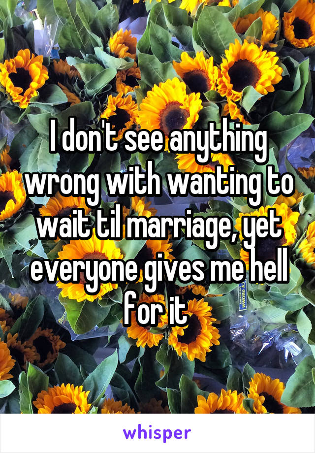 I don't see anything wrong with wanting to wait til marriage, yet everyone gives me hell for it 