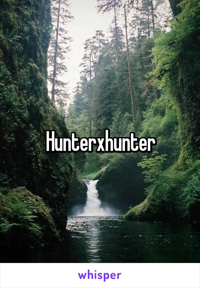 Hunterxhunter