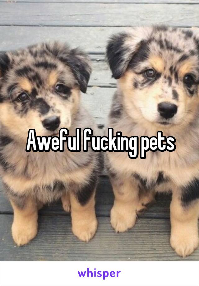 Aweful fucking pets