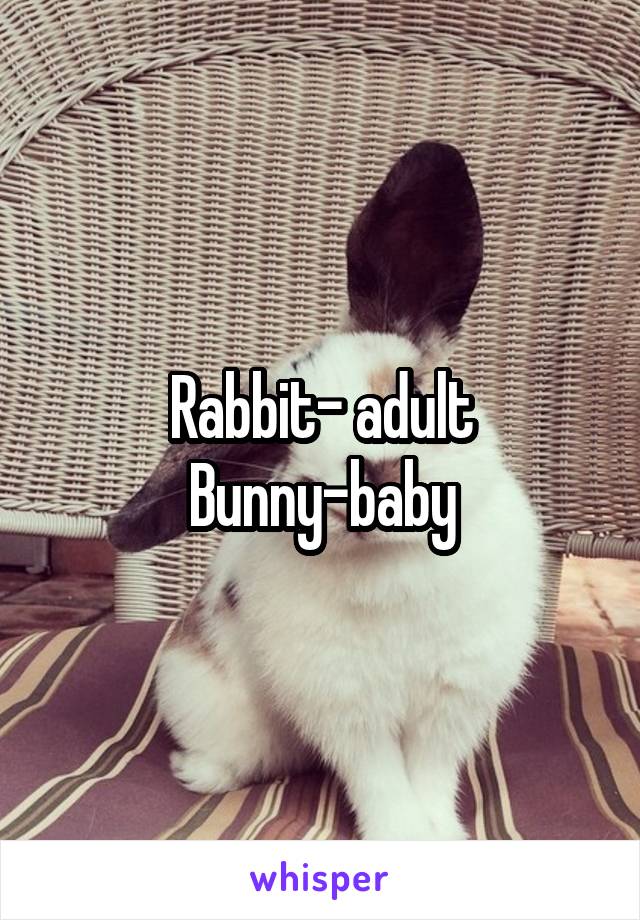 Rabbit- adult
Bunny-baby