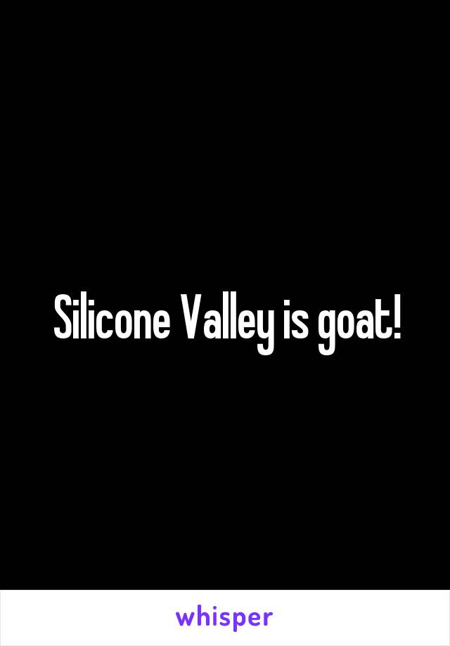 Silicone Valley is goat!