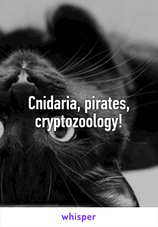 Cnidaria, pirates, cryptozoology!