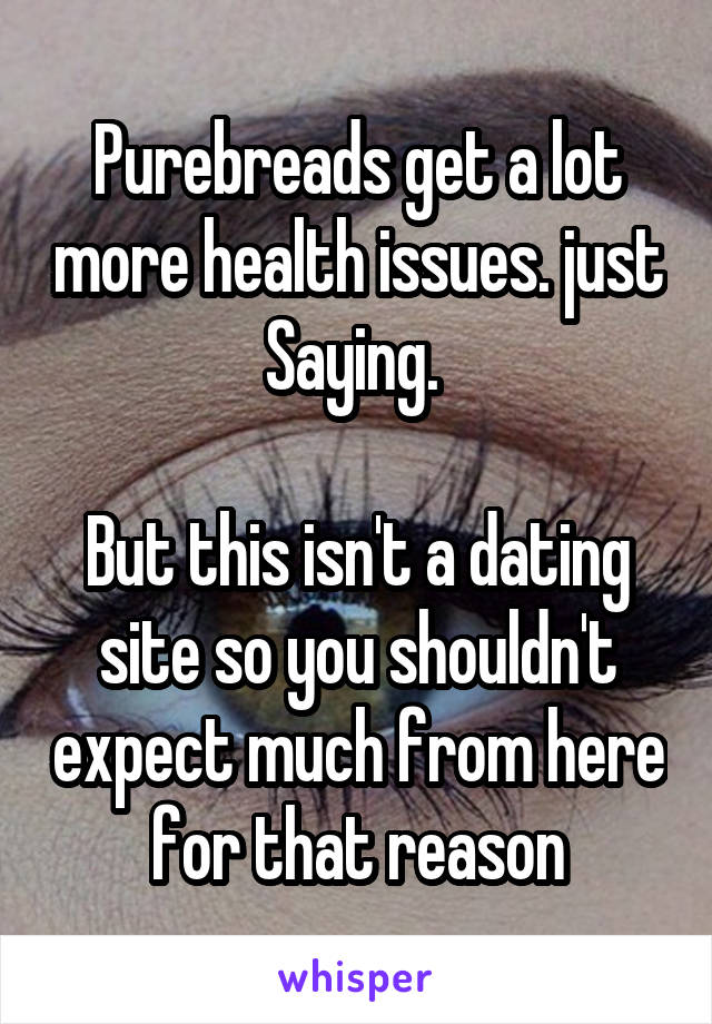 Purebreads get a lot more health issues. just Saying. 

But this isn't a dating site so you shouldn't expect much from here for that reason