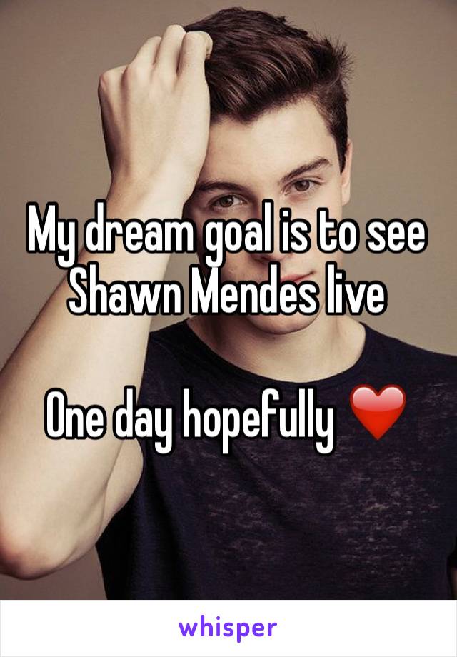 My dream goal is to see Shawn Mendes live 

One day hopefully ❤️
