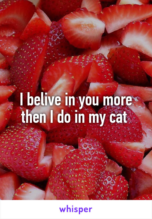 I belive in you more then I do in my cat 