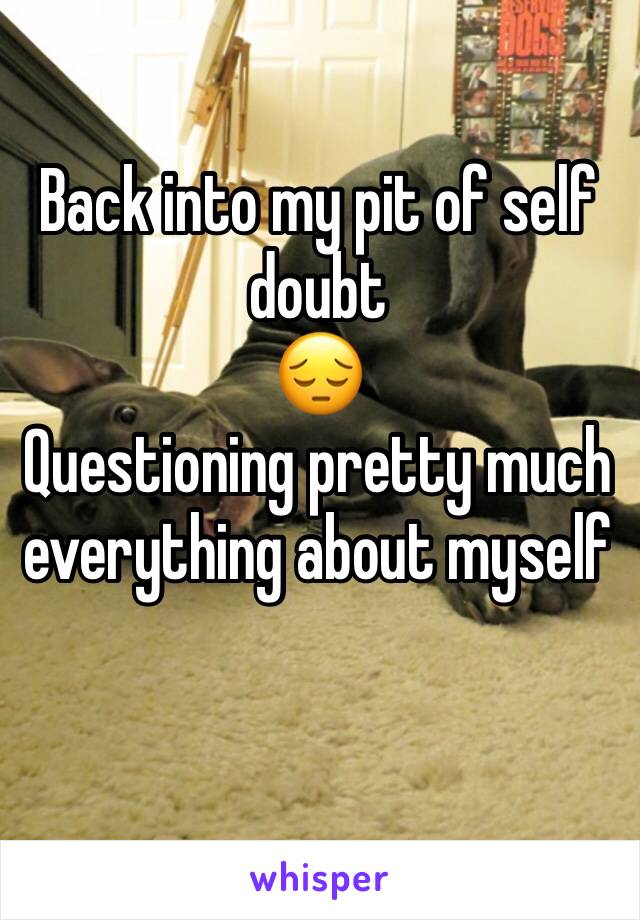 Back into my pit of self doubt
😔
Questioning pretty much everything about myself 
