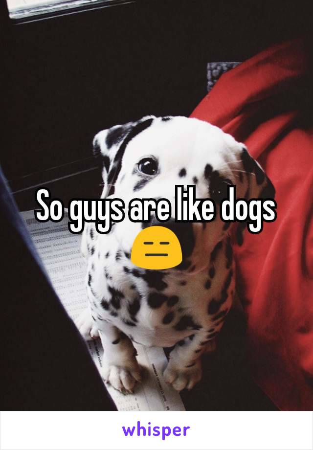 So guys are like dogs 😑