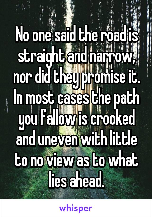 No one said the road is straight and narrow, nor did they promise it. In most cases the path you fallow is crooked and uneven with little to no view as to what lies ahead.