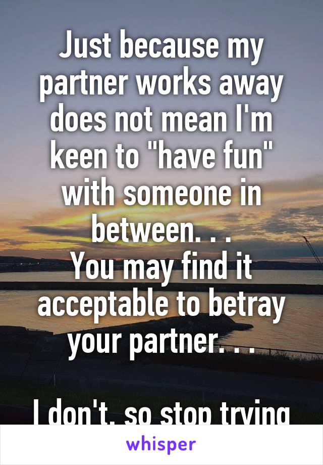 Just because my partner works away does not mean I'm keen to "have fun" with someone in between. . .
You may find it acceptable to betray your partner. . .

I don't, so stop trying