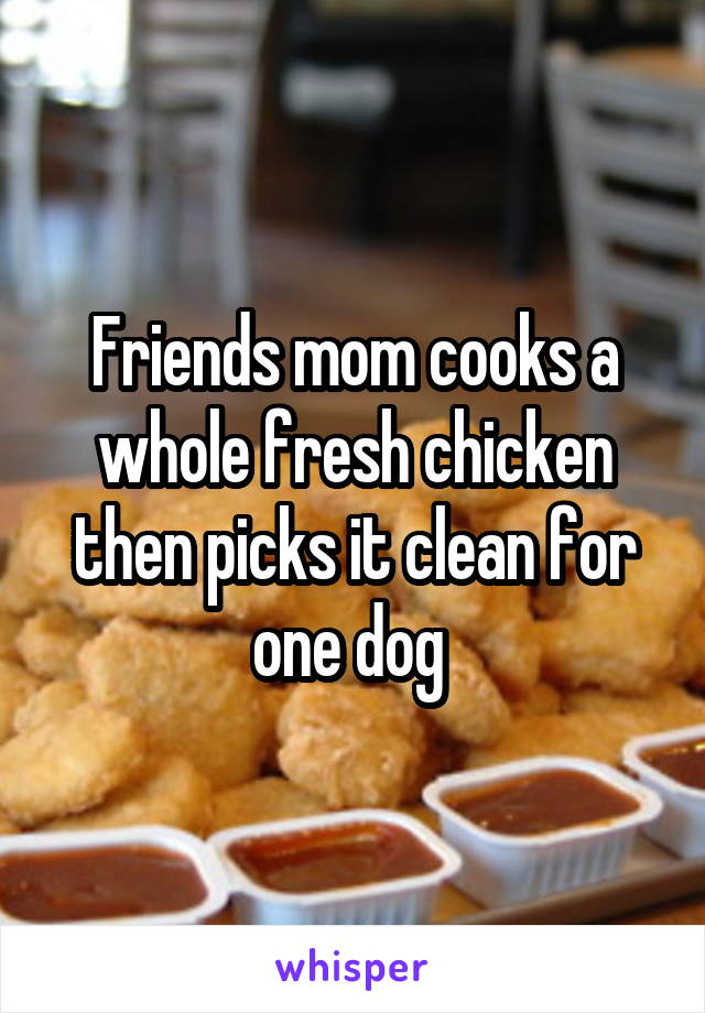Friends mom cooks a whole fresh chicken then picks it clean for one dog 