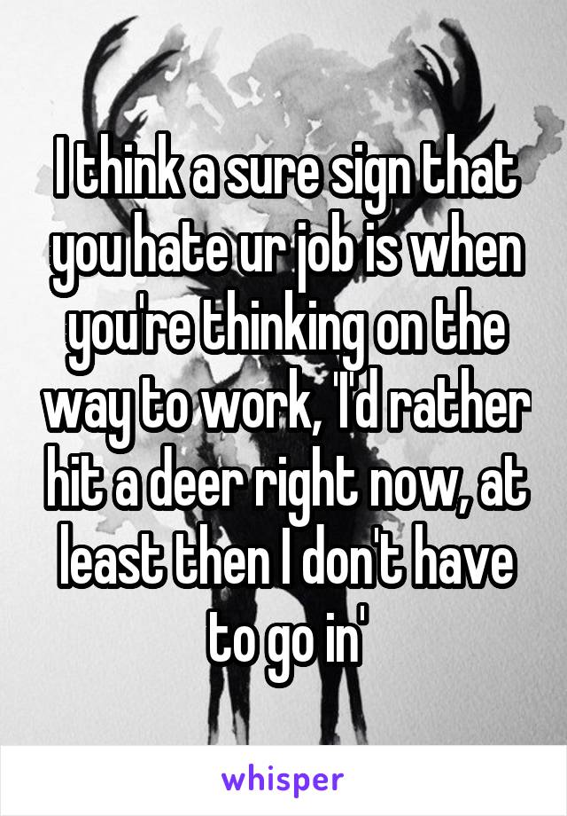 I think a sure sign that you hate ur job is when you're thinking on the way to work, 'I'd rather hit a deer right now, at least then I don't have to go in'