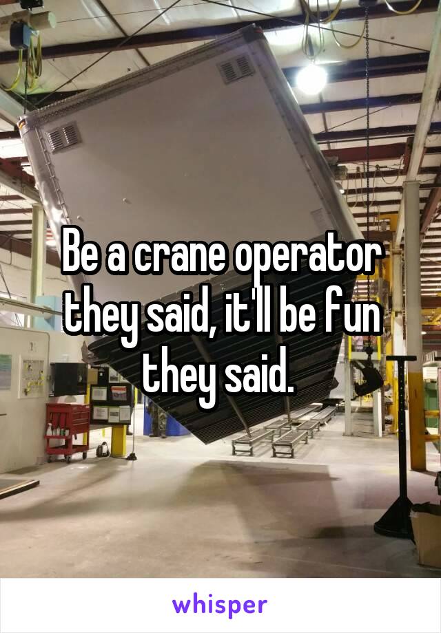 Be a crane operator they said, it'll be fun they said. 