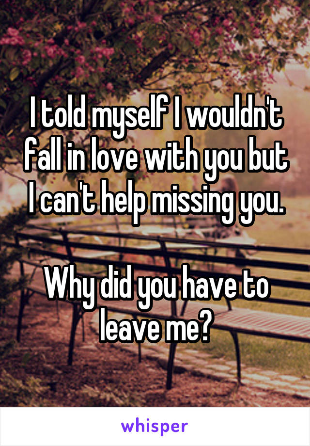 I told myself I wouldn't fall in love with you but I can't help missing you.

Why did you have to leave me?