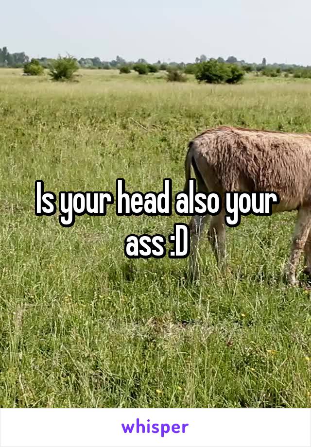 Is your head also your ass :D