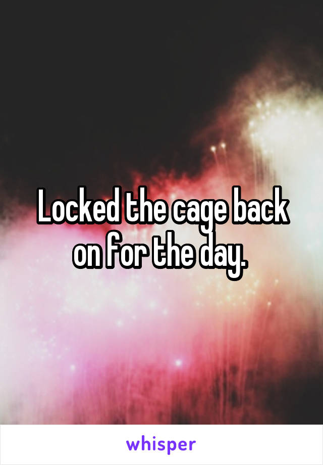 Locked the cage back on for the day. 