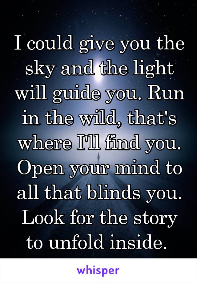 I could give you the sky and the light will guide you. Run in the wild, that's where I'll find you. Open your mind to all that blinds you. Look for the story to unfold inside. 