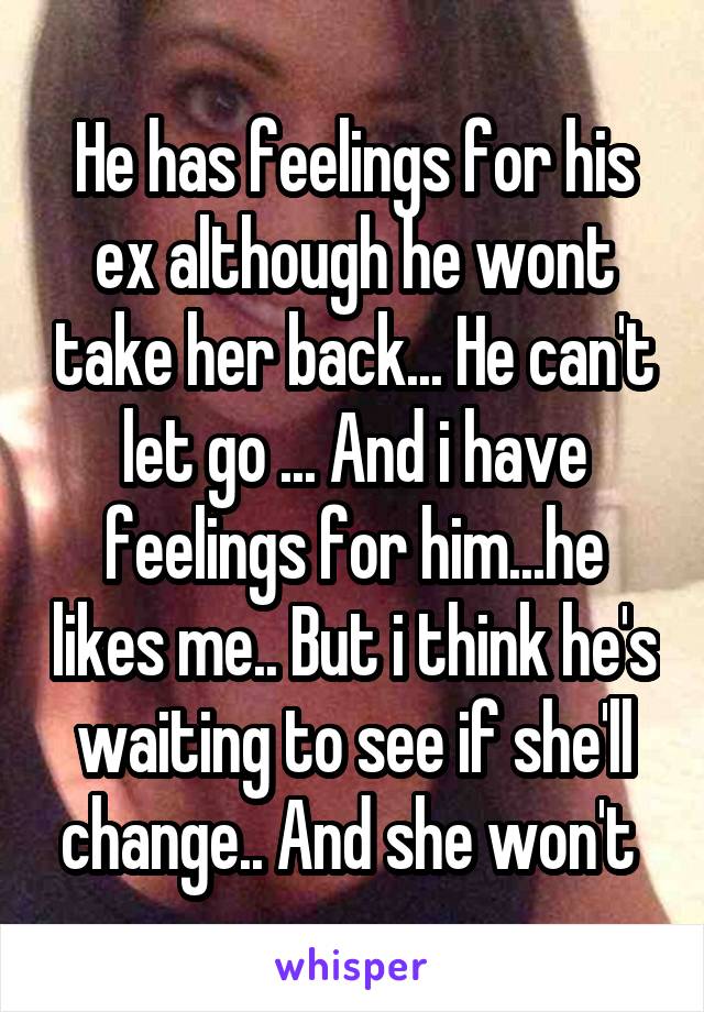 He has feelings for his ex although he wont take her back... He can't let go ... And i have feelings for him...he likes me.. But i think he's waiting to see if she'll change.. And she won't 