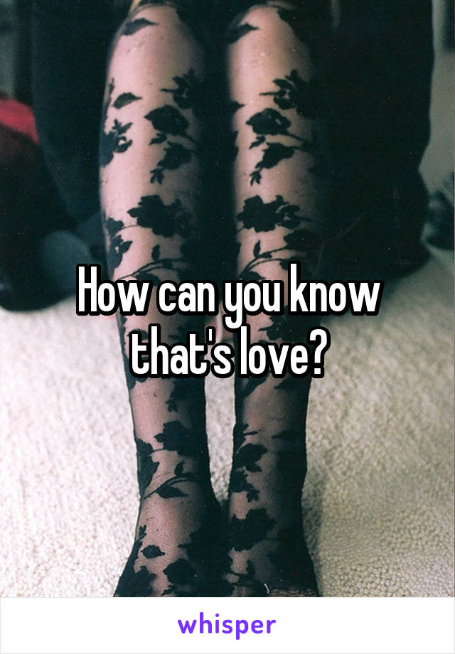 How can you know that's love?