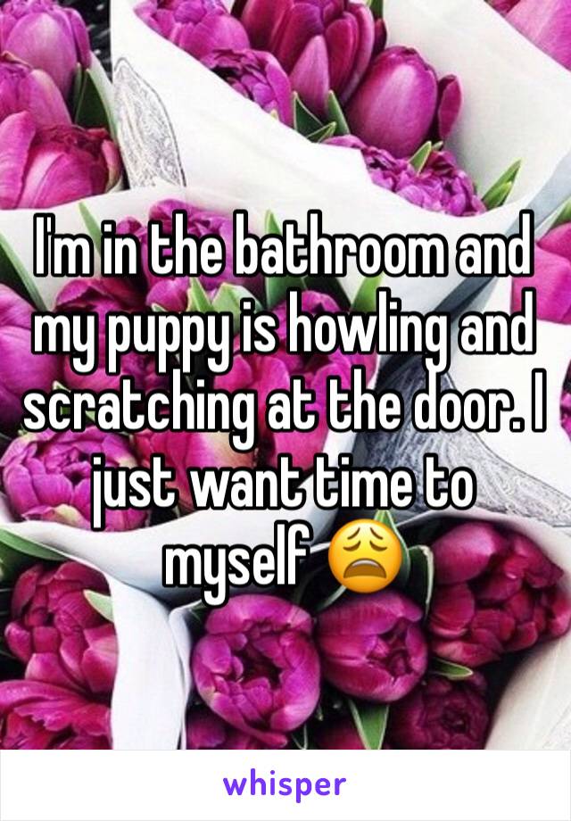 I'm in the bathroom and my puppy is howling and scratching at the door. I just want time to myself 😩