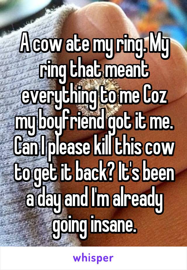 A cow ate my ring. My ring that meant everything to me Coz my boyfriend got it me. Can I please kill this cow to get it back? It's been a day and I'm already going insane.