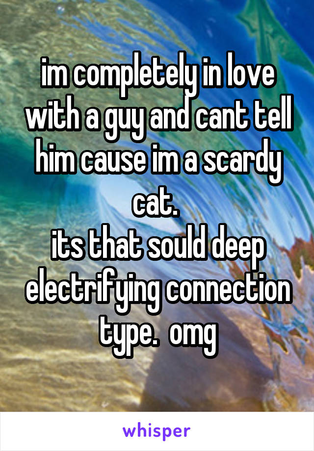im completely in love with a guy and cant tell him cause im a scardy cat. 
its that sould deep electrifying connection type.  omg
