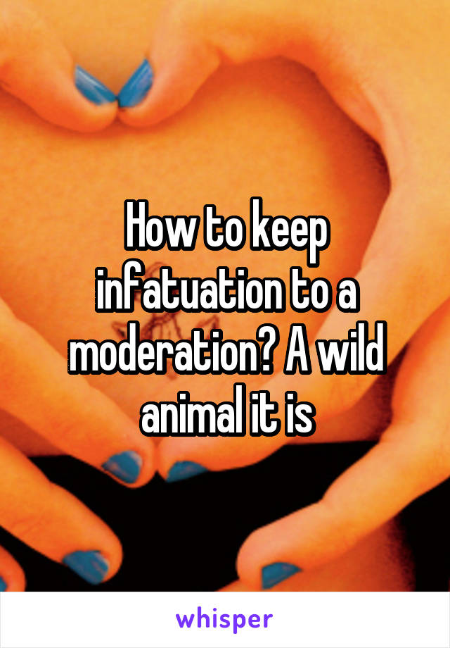 How to keep infatuation to a moderation? A wild animal it is