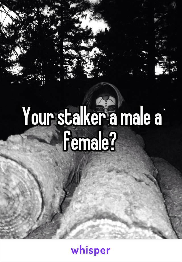 Your stalker a male a female? 
