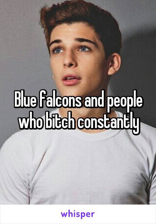 Blue falcons and people who bitch constantly
