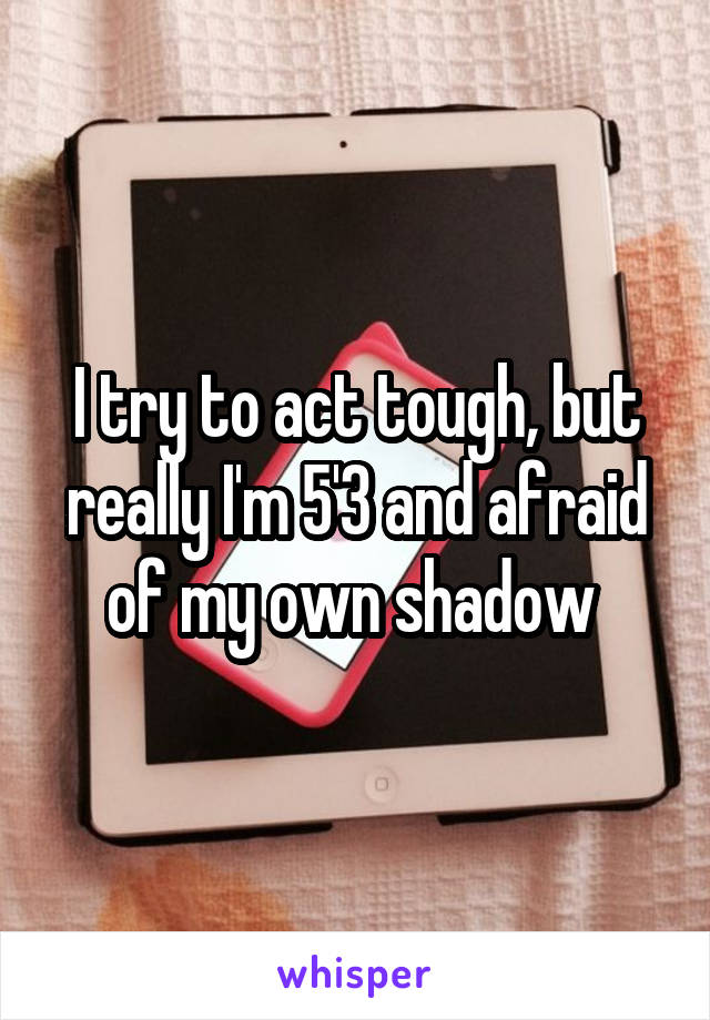 I try to act tough, but really I'm 5'3 and afraid of my own shadow 