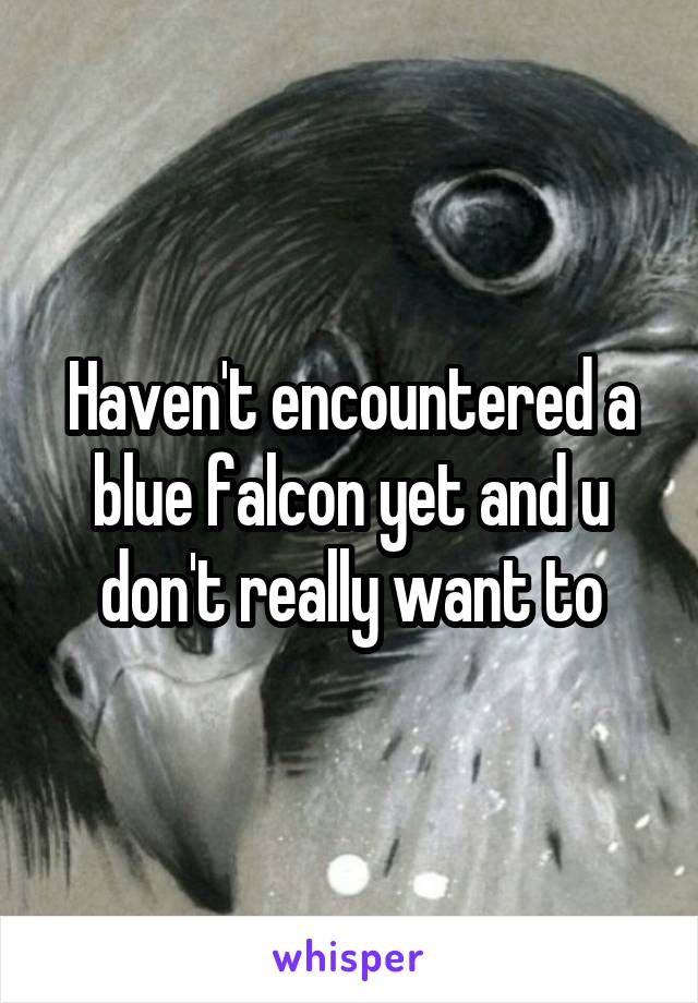 Haven't encountered a blue falcon yet and u don't really want to