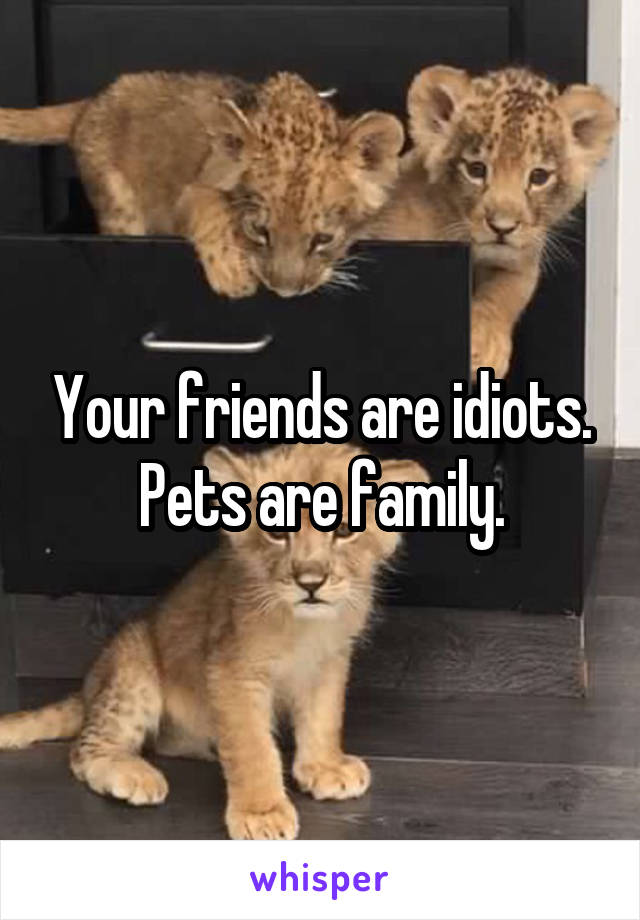 Your friends are idiots. Pets are family.