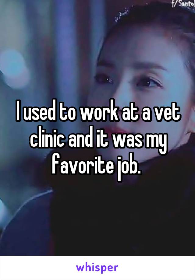 I used to work at a vet clinic and it was my favorite job. 