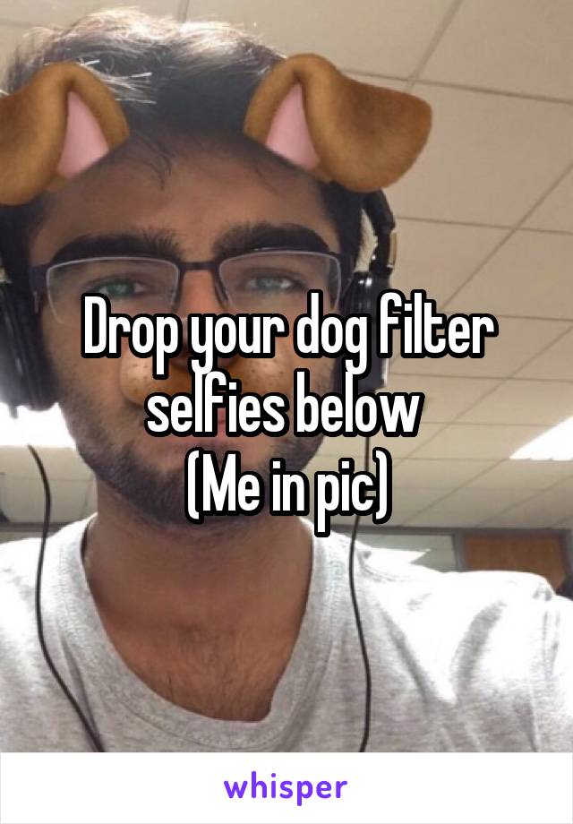 Drop your dog filter selfies below 
(Me in pic)