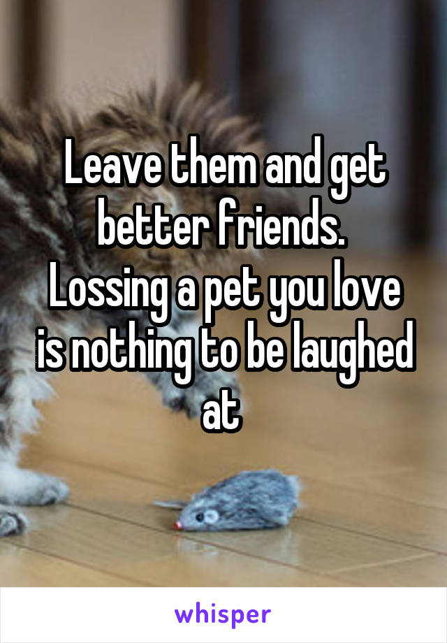 Leave them and get better friends. 
Lossing a pet you love is nothing to be laughed at 
