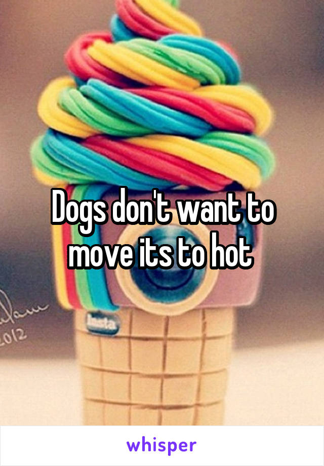 Dogs don't want to move its to hot 
