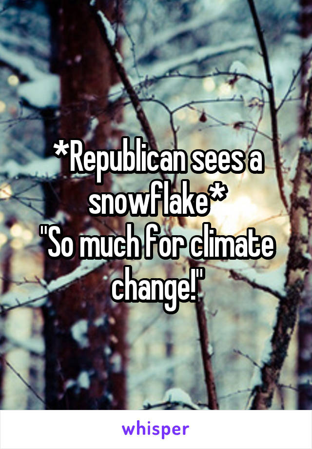 *Republican sees a snowflake*
"So much for climate change!"