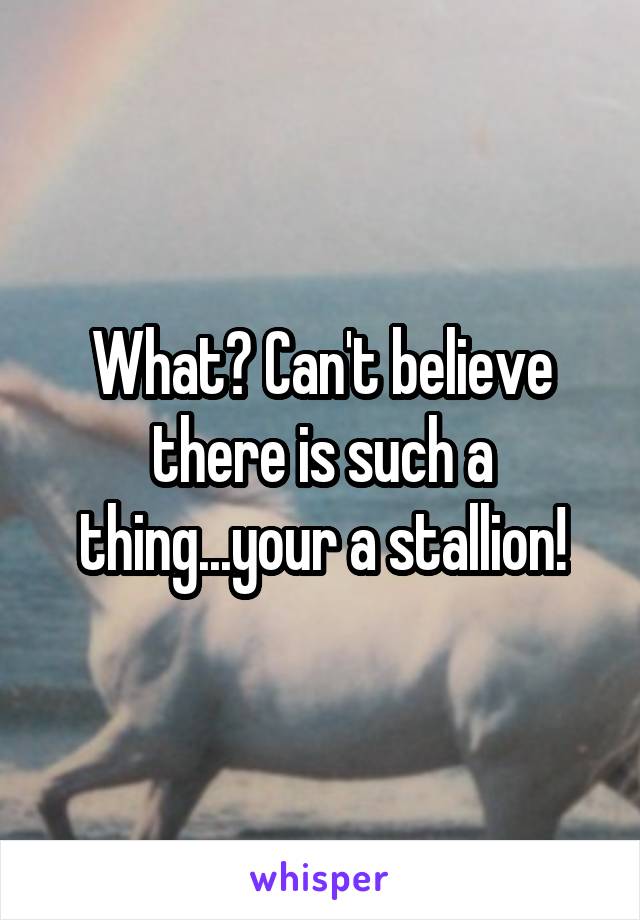 What? Can't believe there is such a thing...your a stallion!