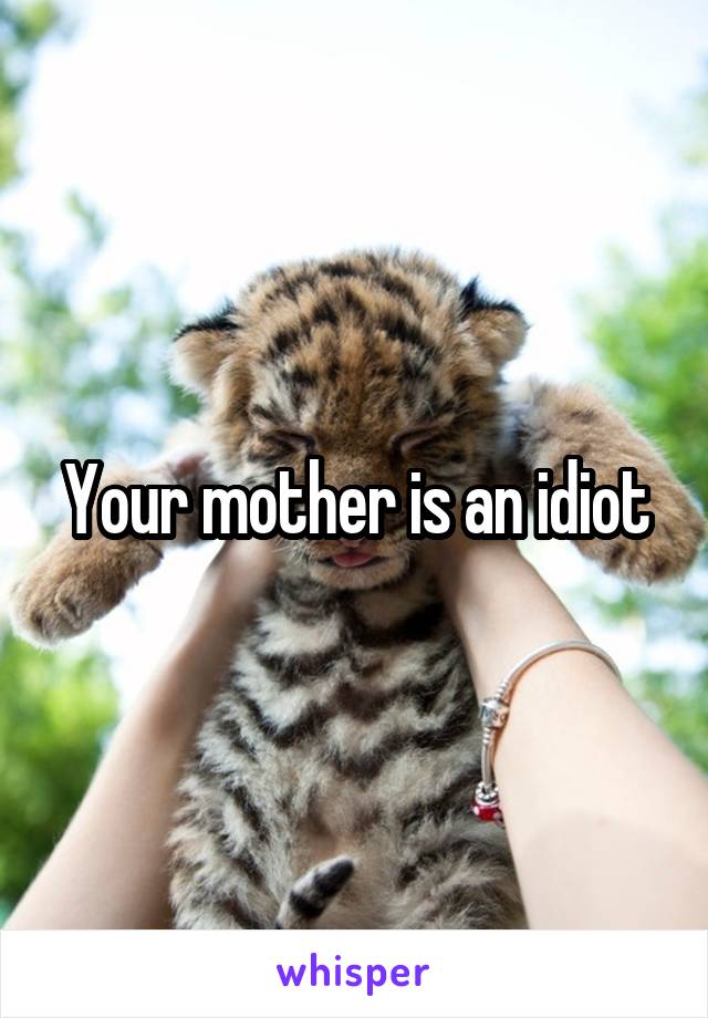 Your mother is an idiot