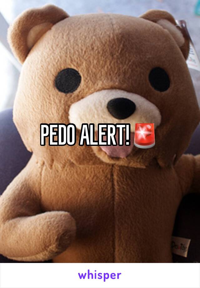 PEDO ALERT!🚨 