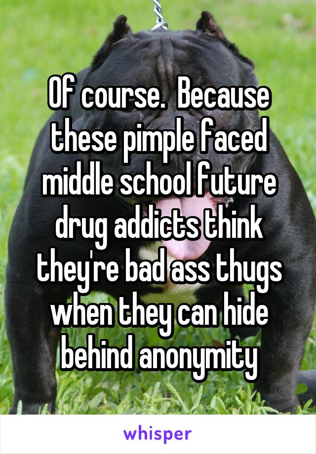 Of course.  Because these pimple faced middle school future drug addicts think they're bad ass thugs when they can hide behind anonymity