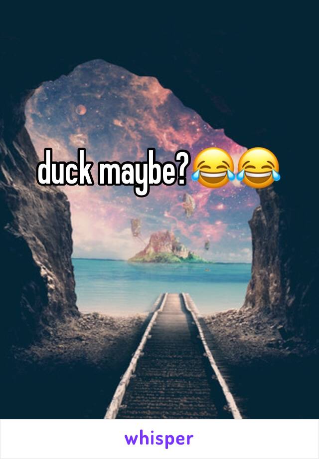 duck maybe?😂😂