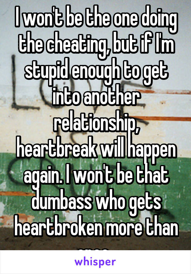 I won't be the one doing the cheating, but if I'm stupid enough to get into another relationship, heartbreak will happen again. I won't be that dumbass who gets heartbroken more than once. 