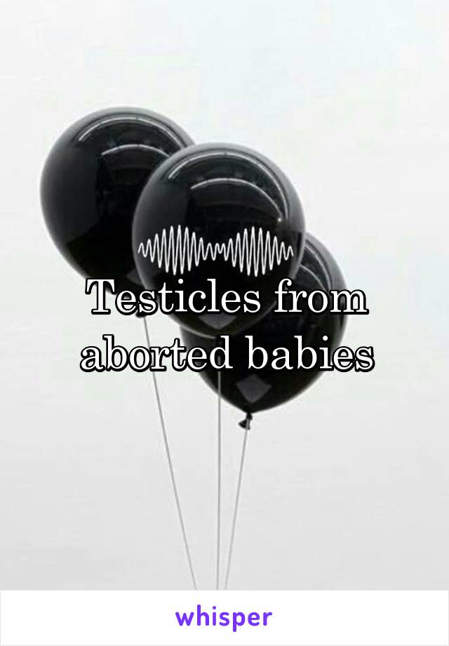 Testicles from aborted babies
